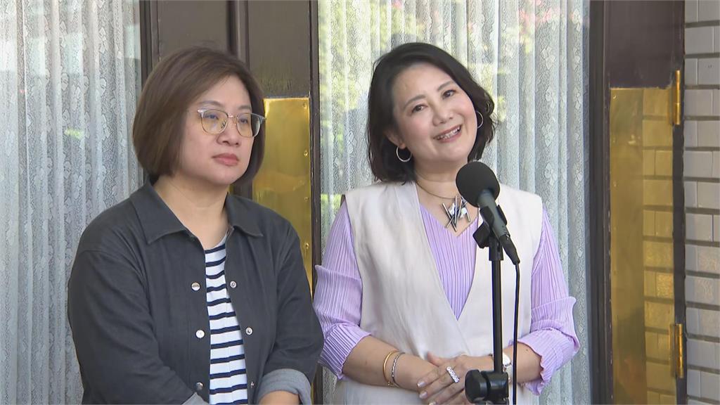 快新聞／化被動為主動！　吳思瑤談黨團改革喊：要拿回「這權力」