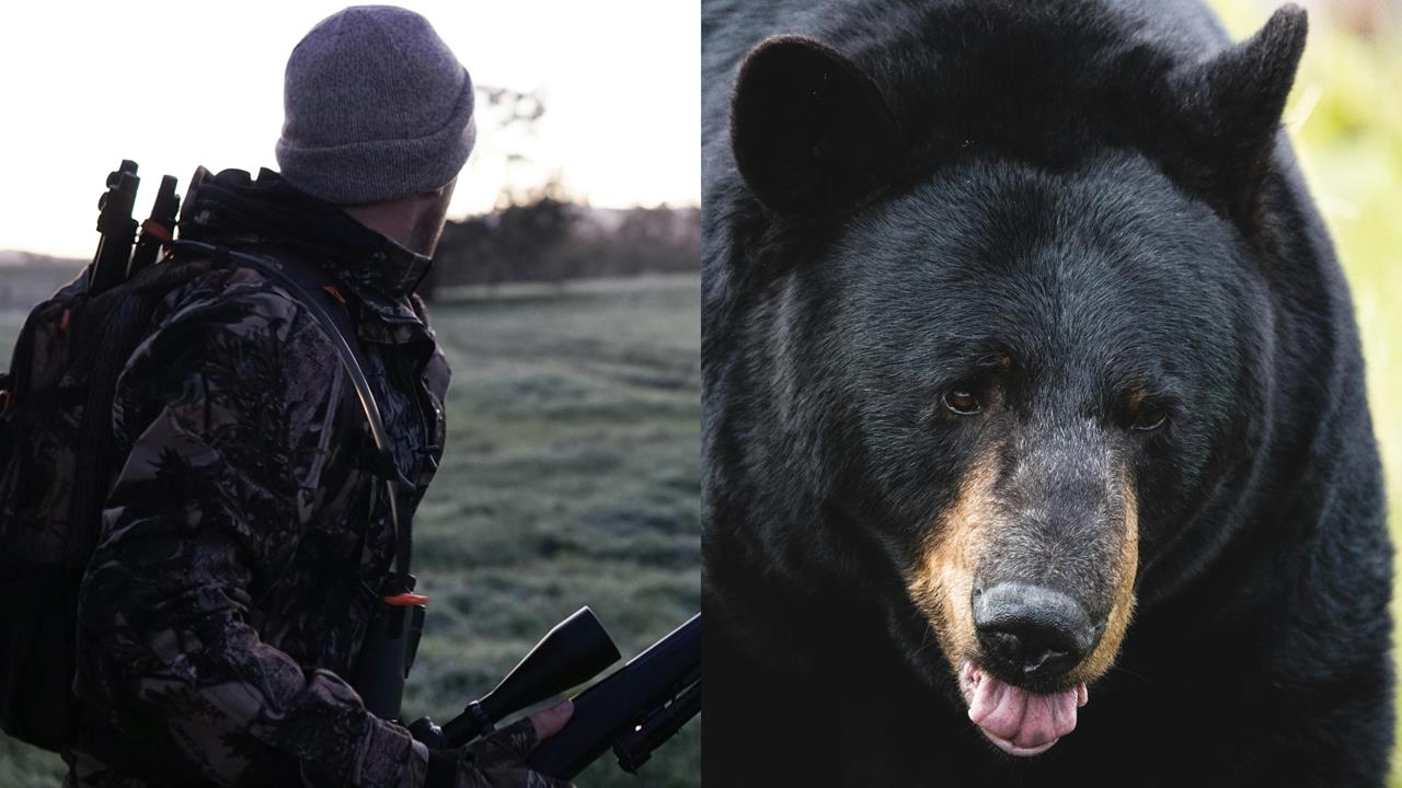 日本黑熊遭擊中倒地「假死」!老獵人輕忽靠近一看⋯突遭巨獸反咬爆頭