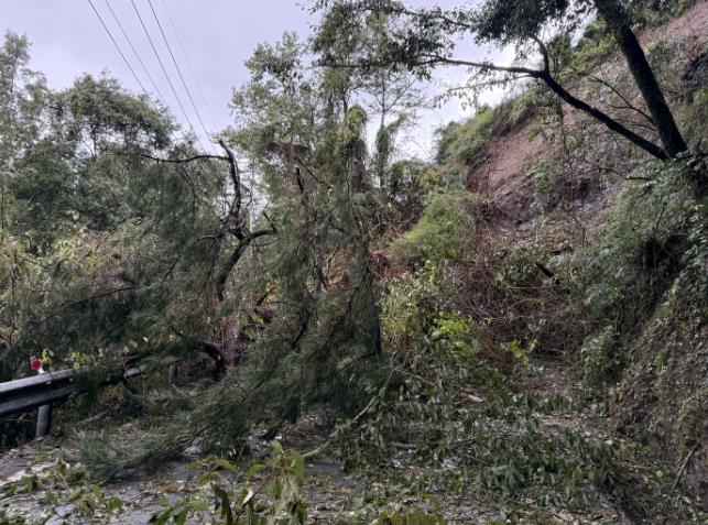 快新聞／康芮颱風災後復原　台電跨區動員430人日夜搶修