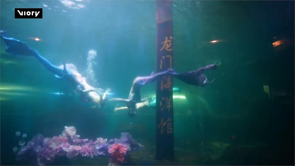 中國洛陽水族館水底舞蹈　「美人洛神」戲碼水中上演