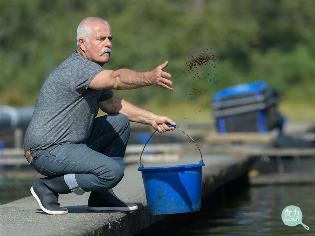 水產養殖代替捕撈真的永續嗎？澳洲業者發現「魚粉」是永續漏洞　他們如何改變？