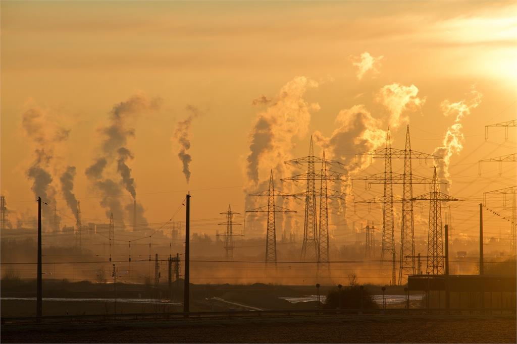 Amber Group與氣候技術公司Moss Earth合作　購入200萬美元碳信用代幣以減少碳排放