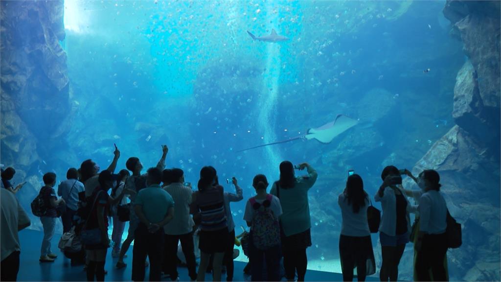 桃園青埔最熱鬧新商圈開幕 水族館、影城一站式娛樂城玩整天