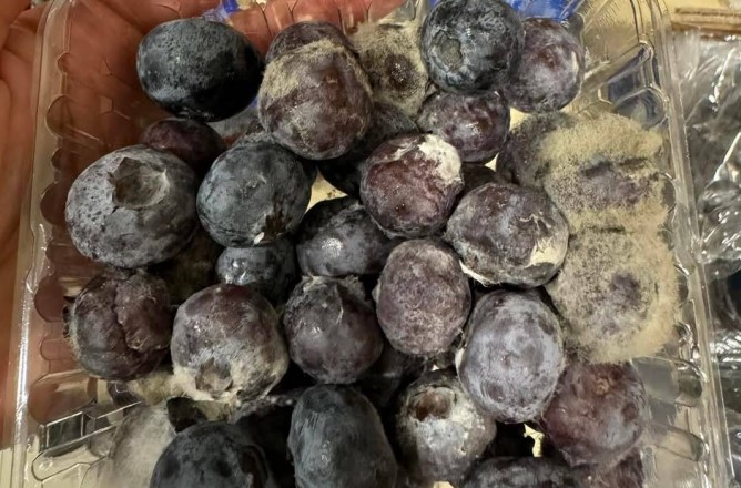 水果削掉發霉的部分還可以吃？營養師警告：毒素早已滲入內部