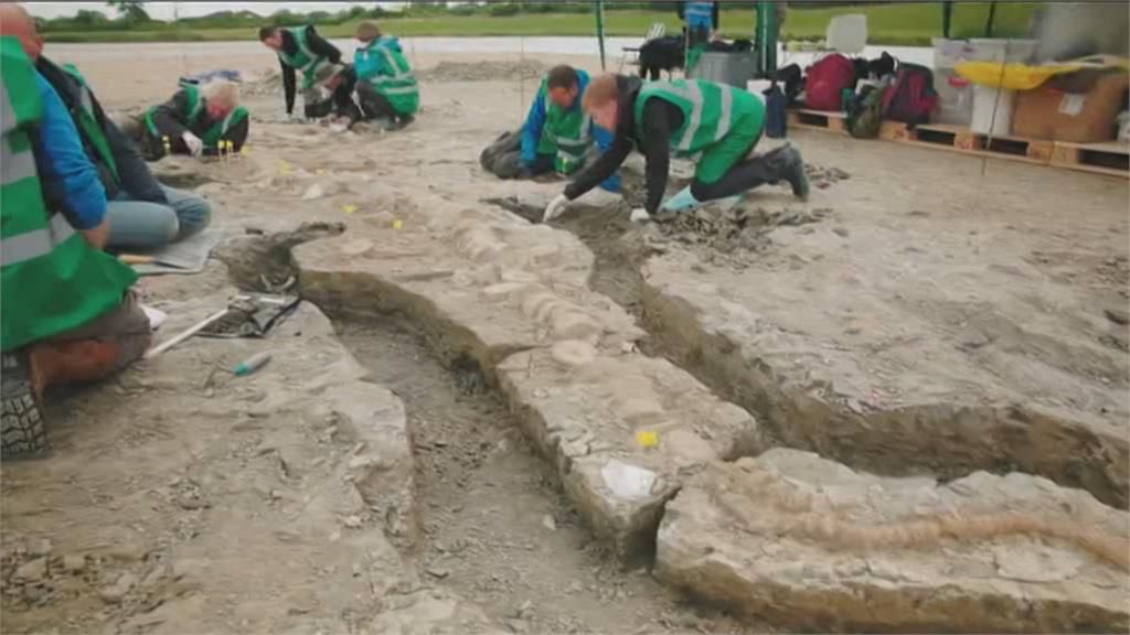 英國史上最大最完整　10公尺巨大魚龍化石出土