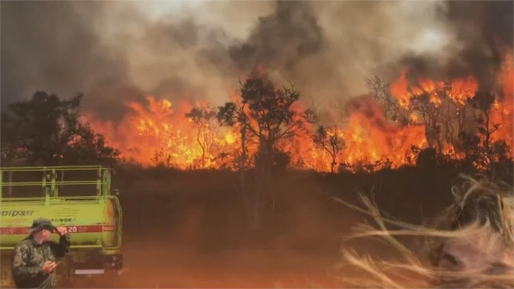 巴西諸蓋里州立公園千頃林地燒燬　調查結果出爐...民眾偷放天燈惹的禍