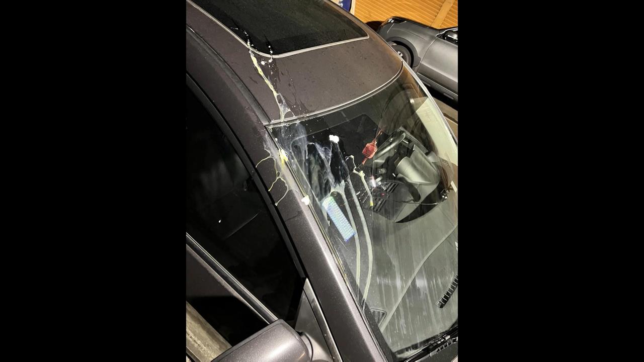 禍從天降！新北永和「碎裂盆栽」掉落砸車　三重轎車慘遭蛋襲