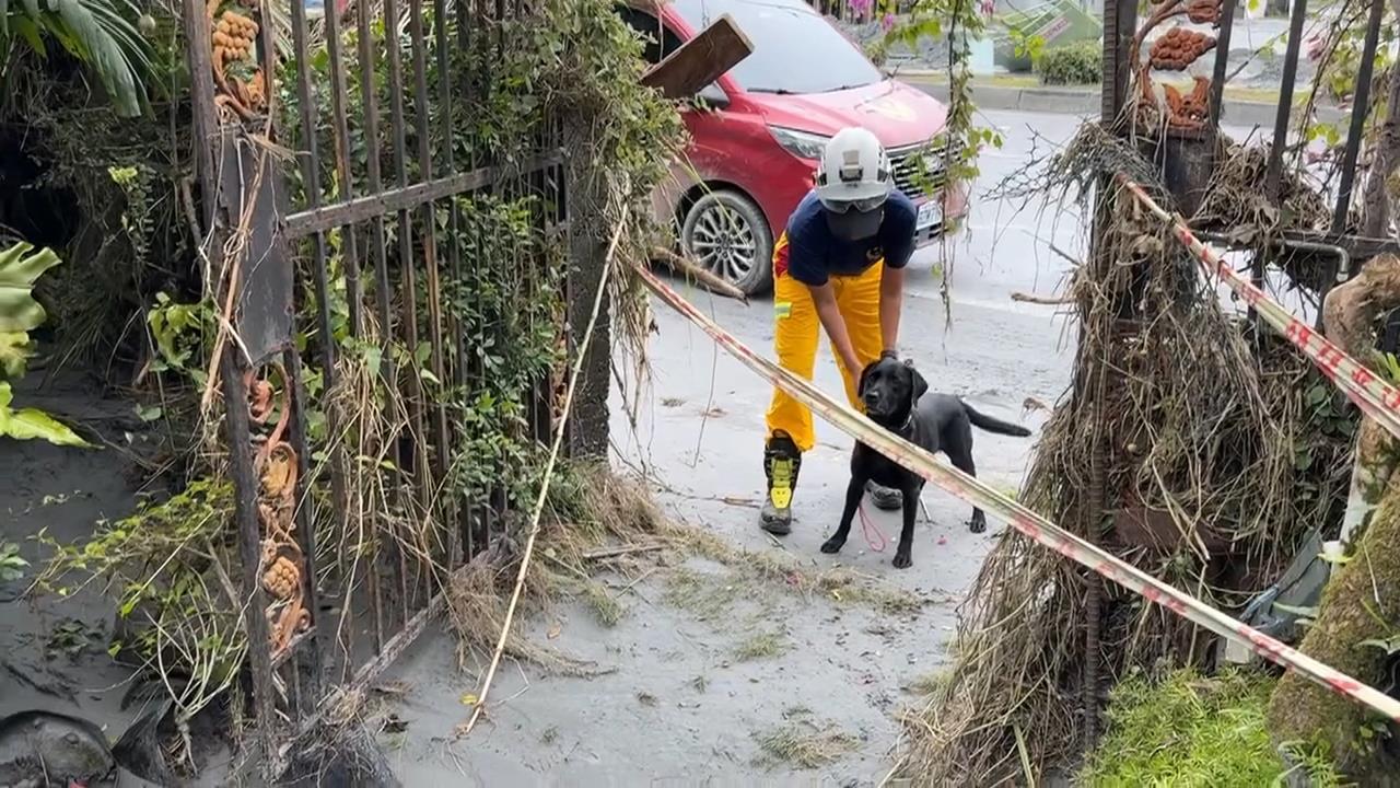 搜救犬「咪娜」險遭泥濘滅頂　檢查無礙重返搜救行動