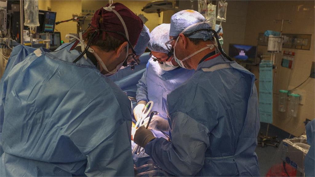 全球首例！　62歲洗腎男　成功移植「豬腎」