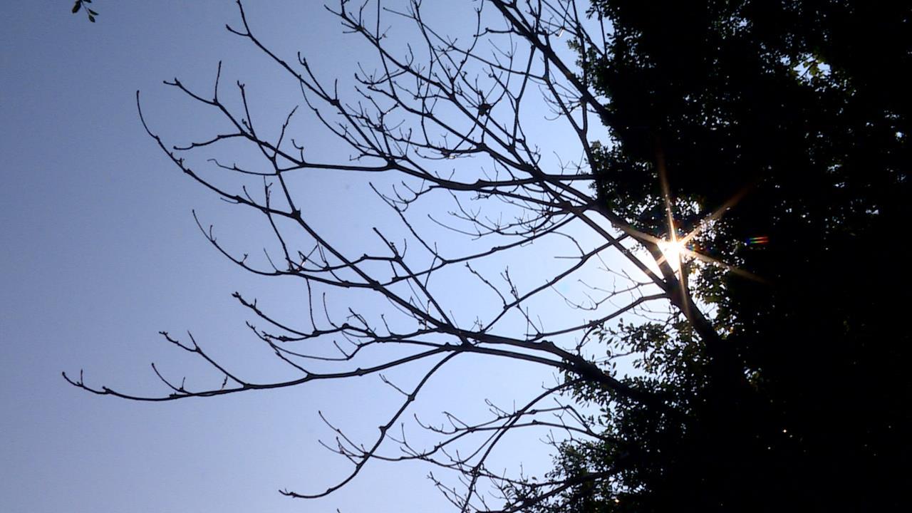 快新聞／中南部高溫上看32度！東北季風減弱漸回溫　迎風面須留意雨勢