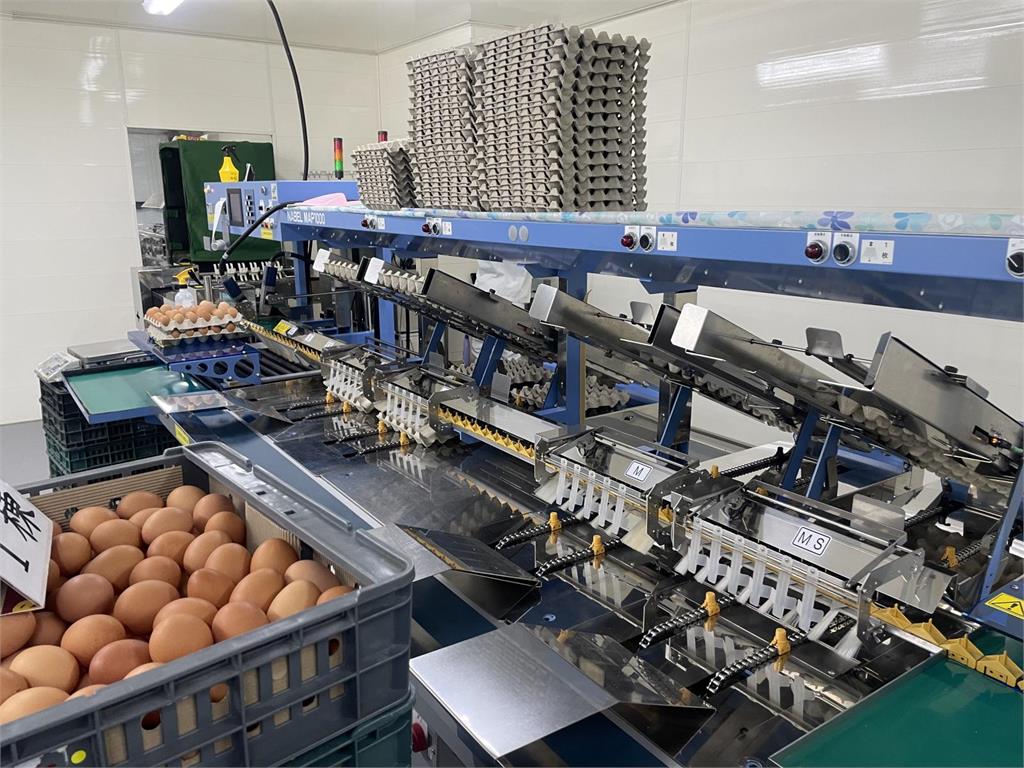 快新聞／量販店泰國進口雞蛋竟發霉　農委會說明了
