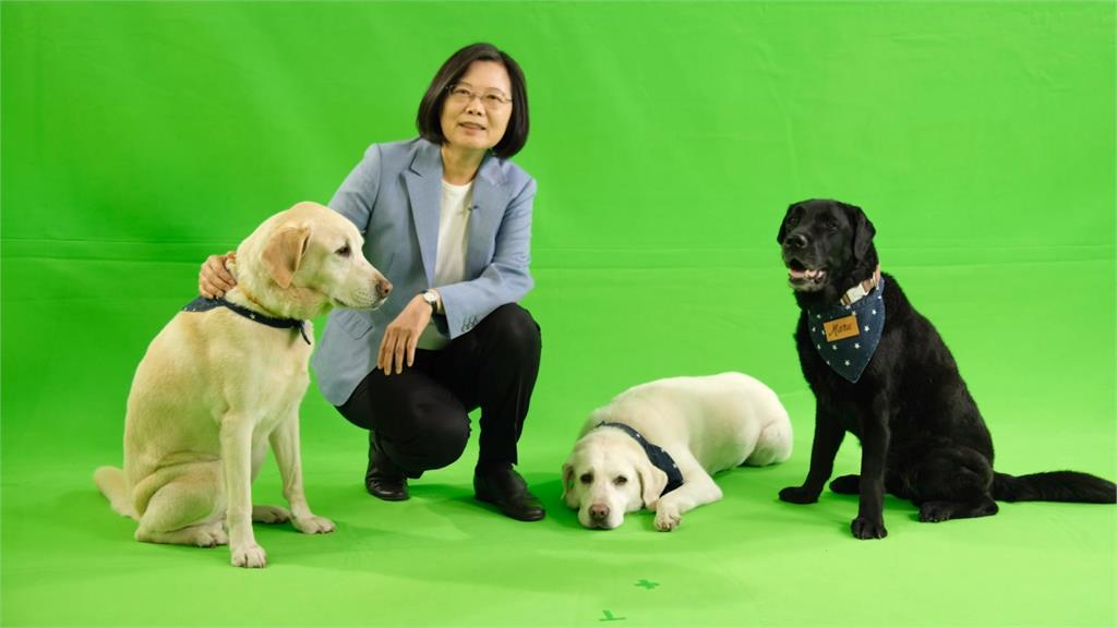 三隻愛犬到場助選！蔡英文競總宣傳影片釋出