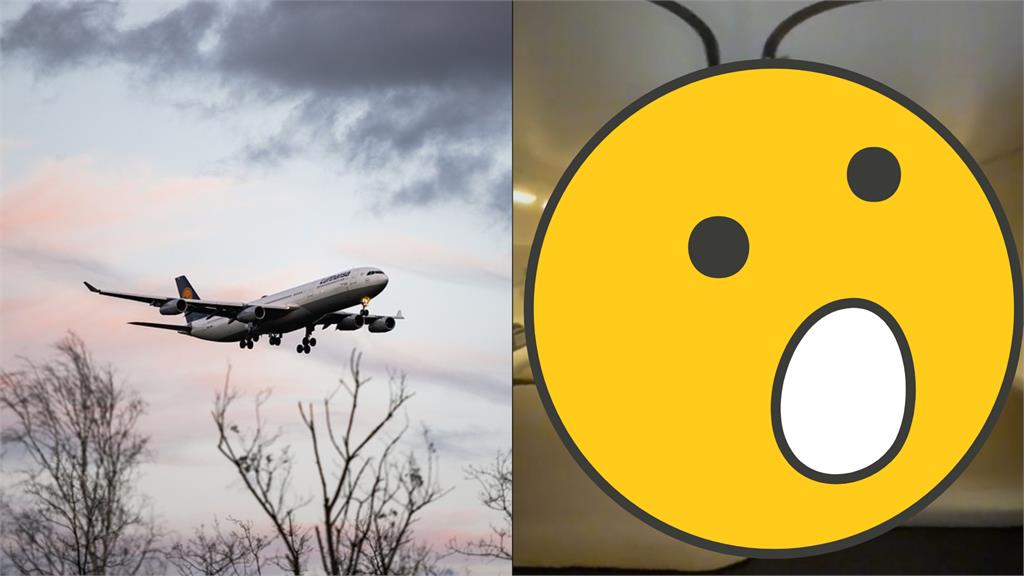 冷知識！機組人員長途飛行怎麼睡？19秒影片曝機艙「神祕房間」