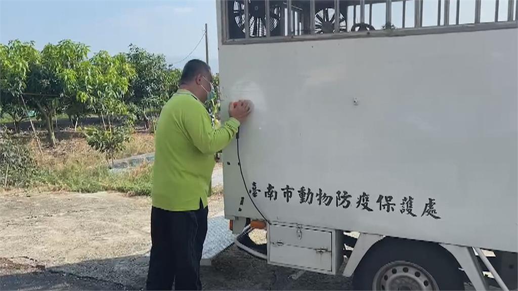 小心惡犬出沒！　比特攻擊家犬　藏獒咬傷老婦