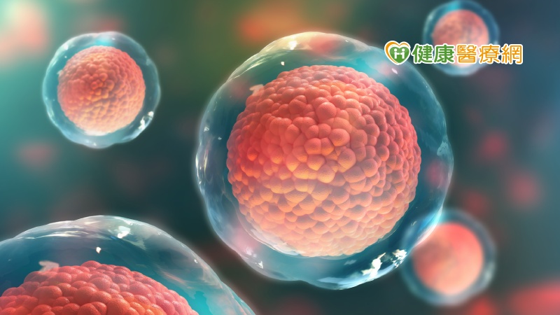 臍帶幹細胞療法新發現　新冠重症存活機會翻倍！