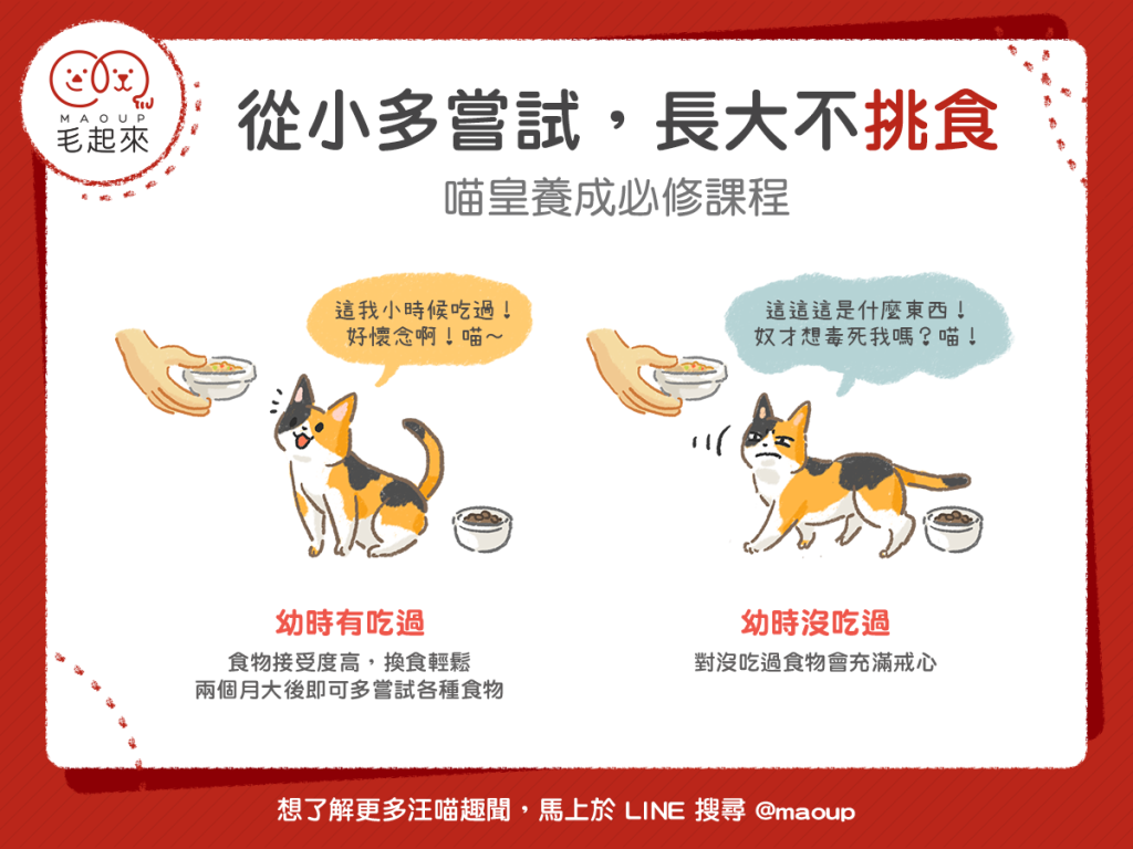 【汪喵餵養知識】從小多嘗試，長大不挑食！