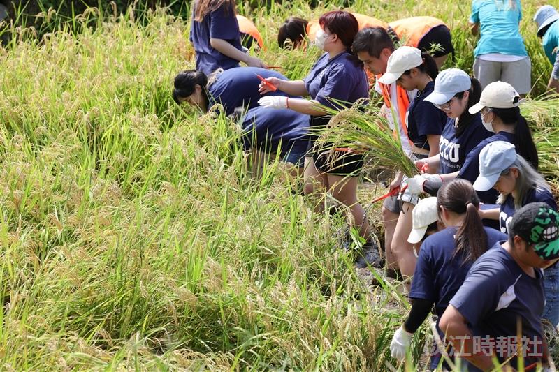 【淡江傳真】USR跨校交流夏令營　臺日學生體驗山海人文風光