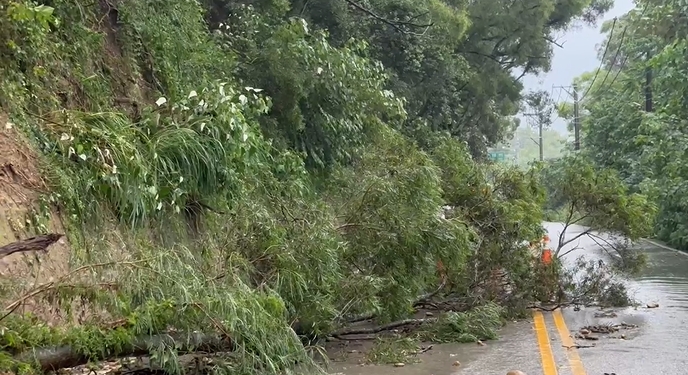 快新聞／雨彈強襲！彰化員林部分路段淹水「泥流傾瀉」　樹木遭連根拔起躺路中央