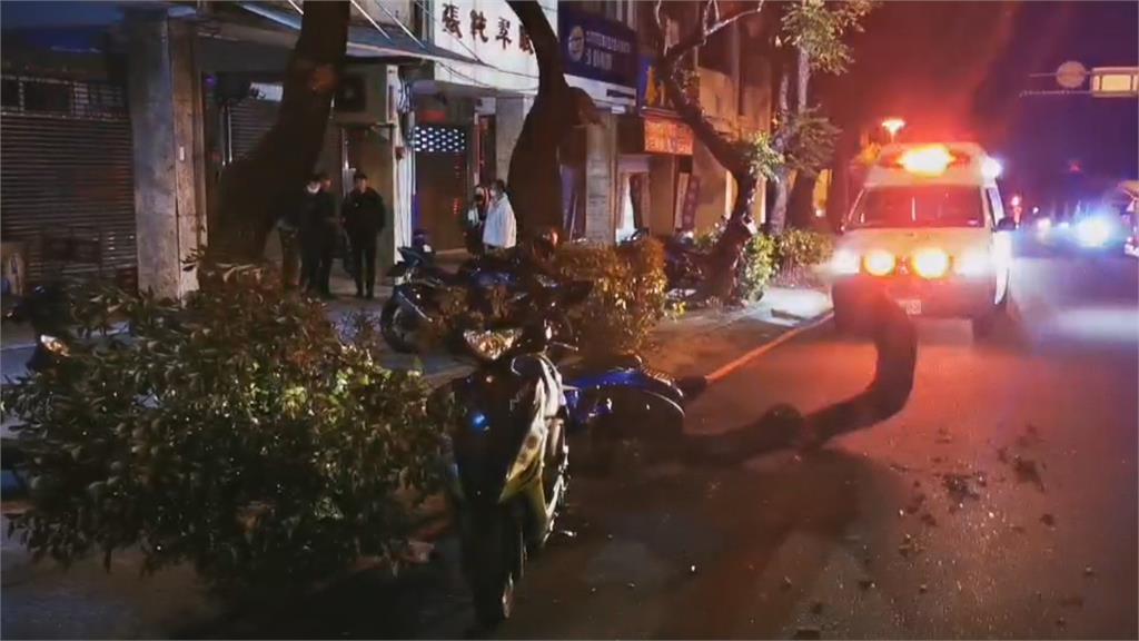 中市台灣大道行道樹斷落 兩騎士撞上受傷
