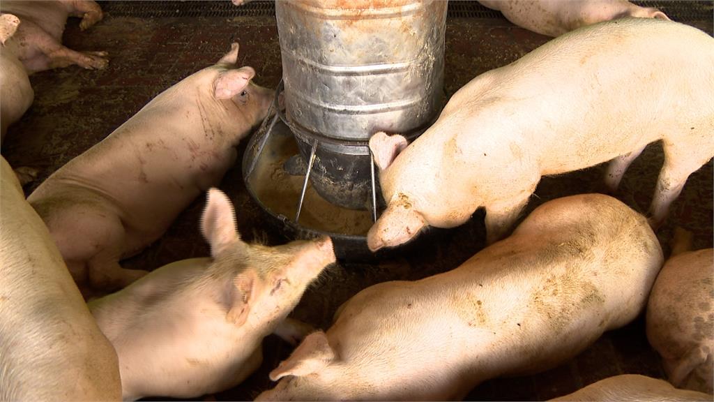 美國貿易團關切瘦肉精豬肉議題 農委會強調立場不變