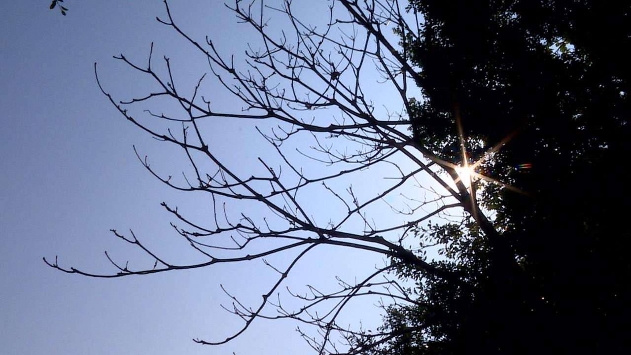 老天賞臉！　開工日天氣晴　下週「東北季風+鋒面」將報到