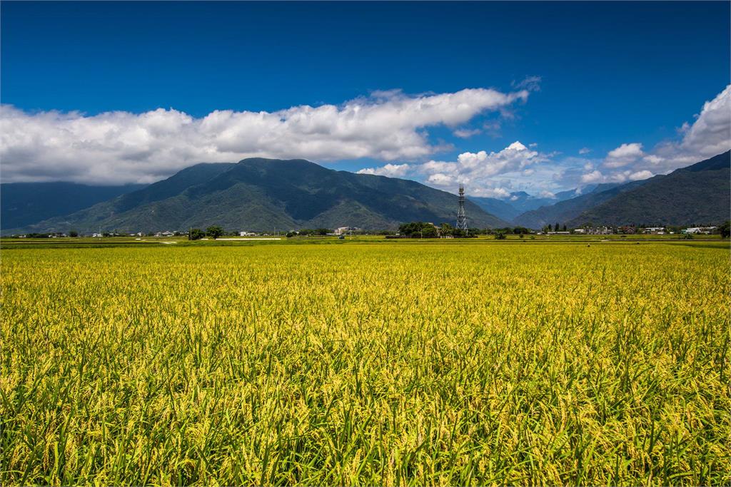 暑假訂房先卡位 入住最美日暉  5/31前享早鳥九折優惠