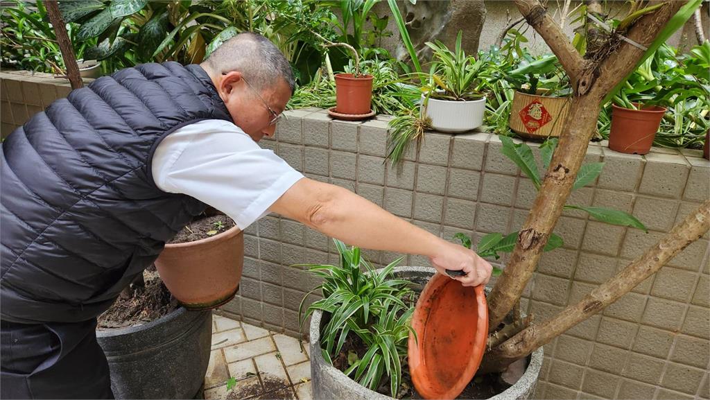 快新聞／北市又新增1例本土登革熱　大安男沒出國「感染源不明」