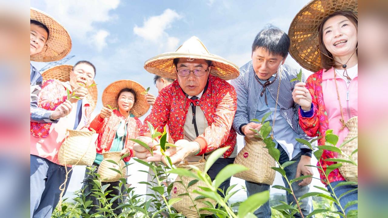 黃偉哲與茶之魔手開創茶產業  東山區採收第一批台南茶！