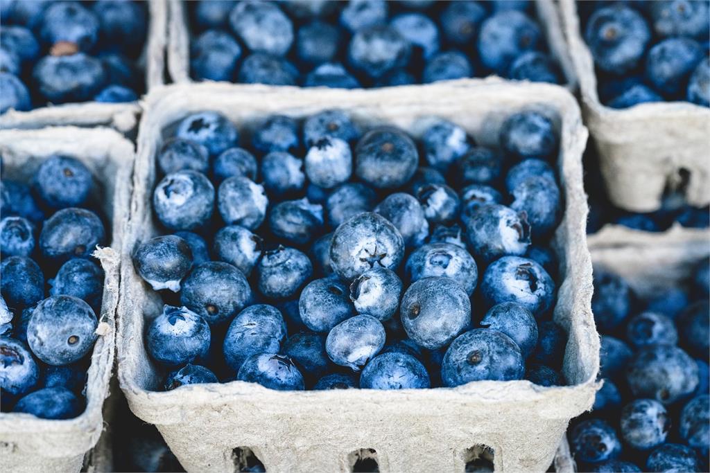 「森林寶石」藍莓表面一層白粉能吃嗎？專家曝「天然保護蠟」：別洗掉