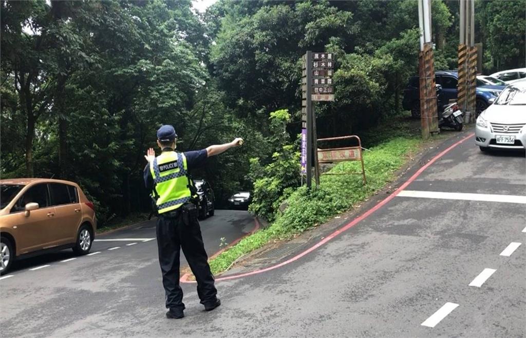 陽明山「海芋、繡球花」盛開 北市警加強交通管制