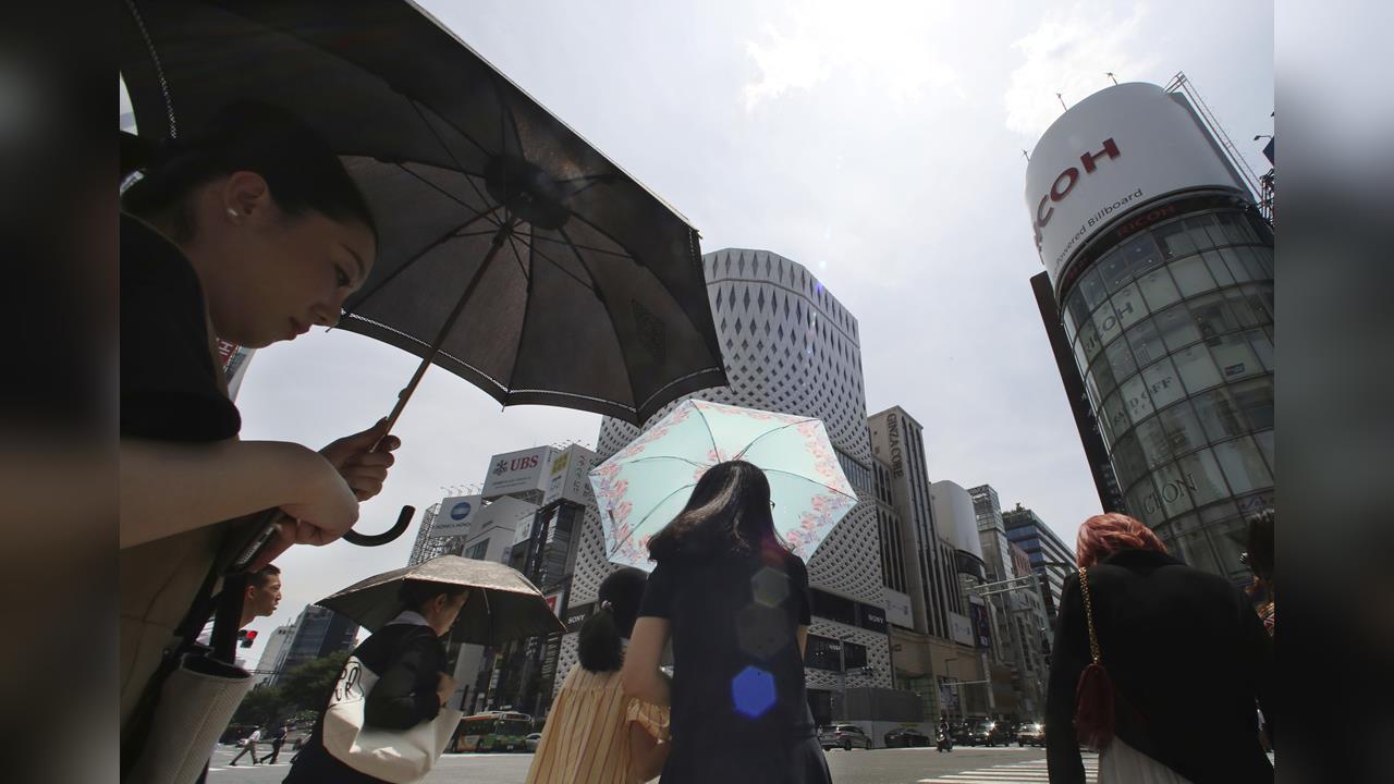 日本史上最高均溫　紅楚蟹首次競標時間延後10天