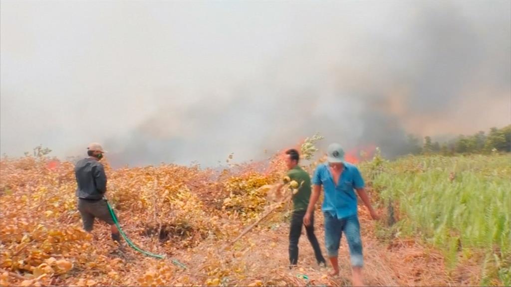 能見度不到百米！ 印尼野火引霾害危機
