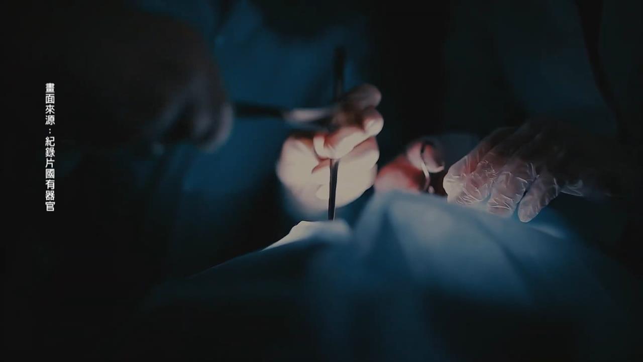 普習聊天談"器官移植.長生不老" 學者痛批悲哀