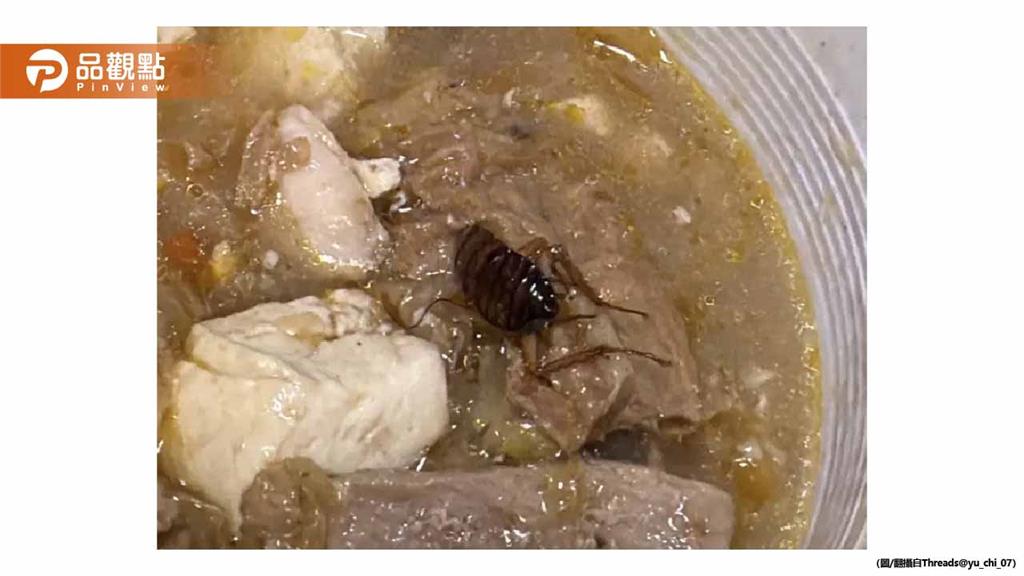 驚！嘉義名店沙鍋魚頭撈出完整大蟑螂 顧客吃一半才發現崩潰