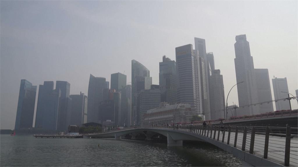 印尼整地焚燒植被<em>樹木</em>　霧霾跨海飄新加坡