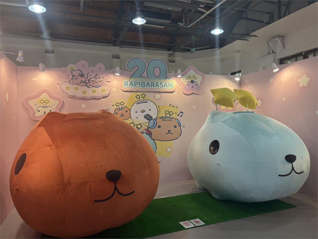 水豚君快閃華山!20週年快閃店登場 聯名優惠贈義式冰淇淋