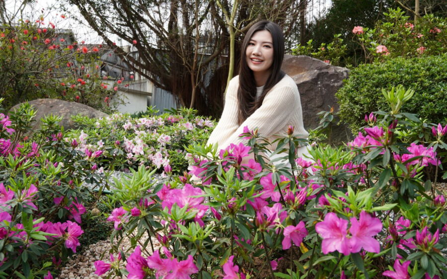 新北推萬金杜鵑五大賞花秘境 在祈願步道合影打卡贈貼紙