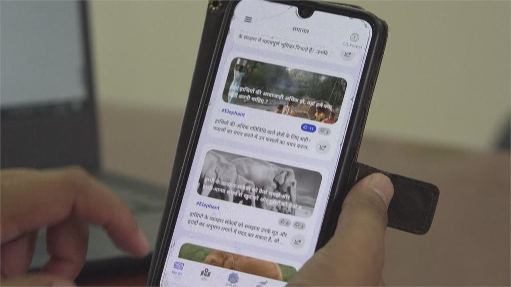 大象受驚嚇恐誤傷人類！　印度民團推「大象預警APP」