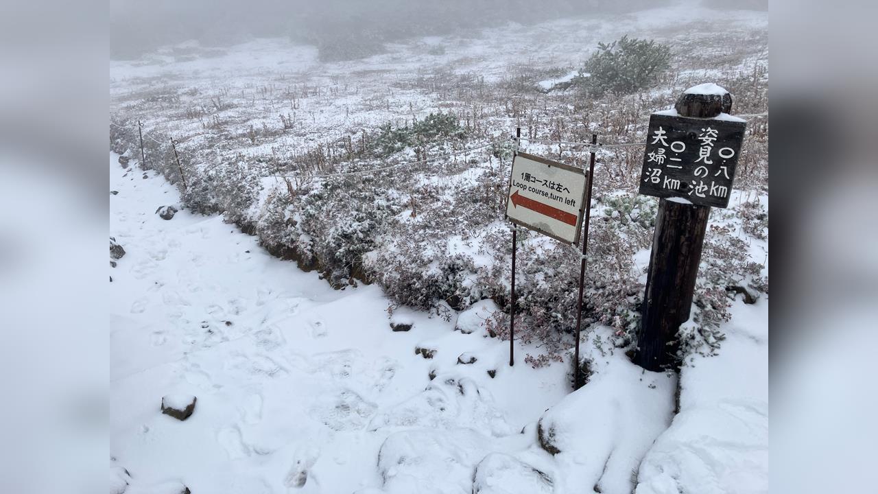 日本首波初冠雪來了！　北海道旭岳「一夕轉白」好驚喜