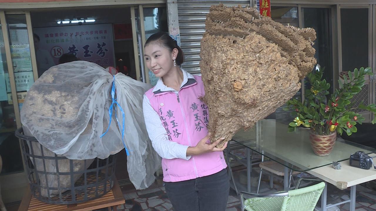 藍營分裂！　「女王蜂」黃玉芬退黨擬選彰化市長拚三腳督