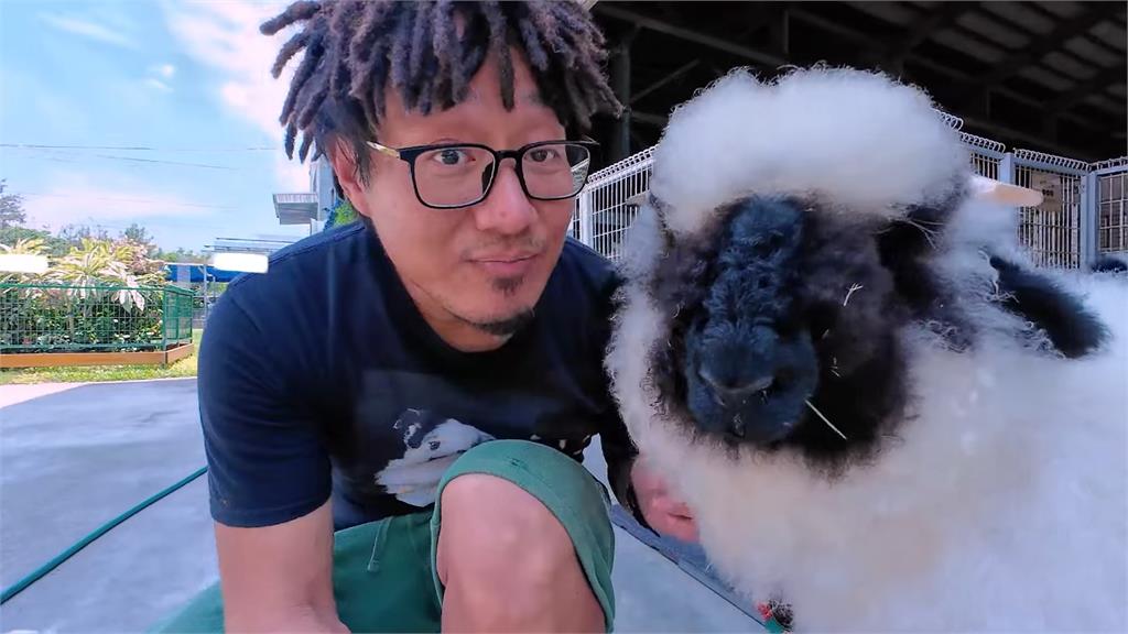 可愛到無法自拔！他成功圓夢飼養「笑笑羊」　跑跳吃草模樣萌翻全網