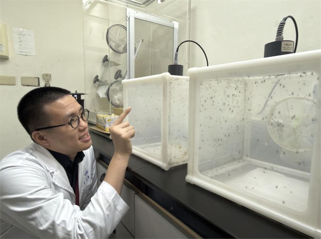砸百萬「養蚊子」!疾管署神秘實驗室曝光 專人呵護2萬隻活蚊