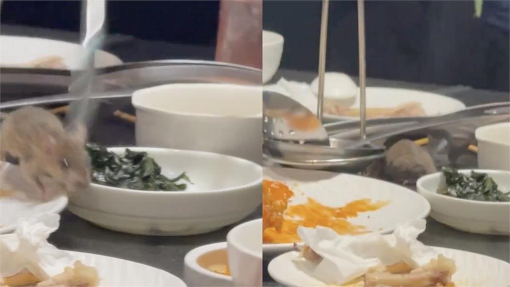 信義區韓式餐廳驚見老鼠飛降 老闆夾走畫面曝光嚇壞食客