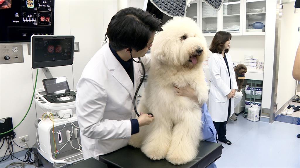 毛小孩醫療等級超進化！　全台首間動物預防醫療中心啟動