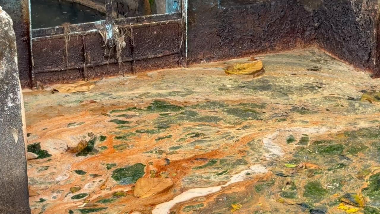 宜蘭礁溪「農排水閘門積油污」 環保局:餐飲業過濾不全