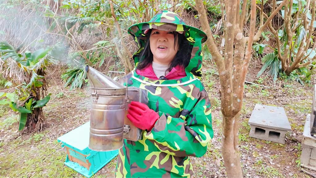 充滿母愛的天然蜂蜜　養蜂人陳美秀的養蜂故事