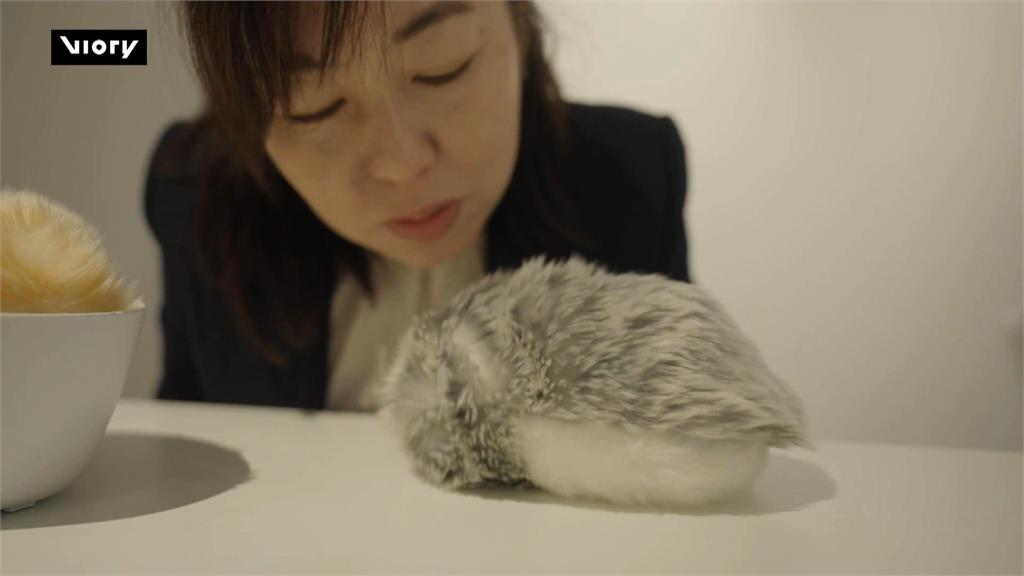 不怕過敏或養不起 AI寵物「會認主人聲音」