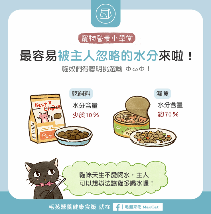 【毛孩食品解析】貓奴最容易忽略？乾飼料、濕食水份比一比！