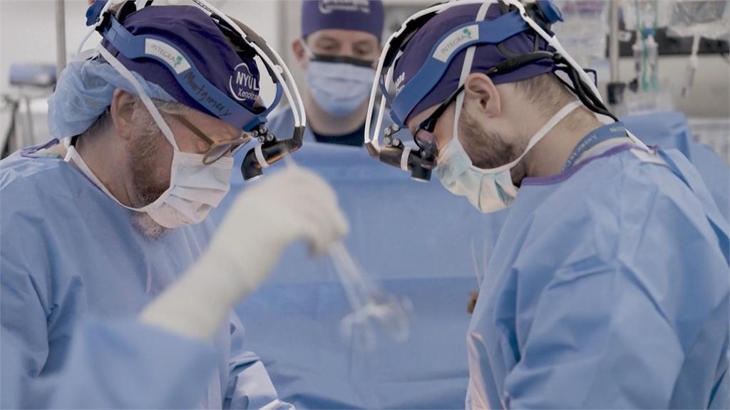 器官移植重大進展　豬腎移植人體運作逾32天無排斥