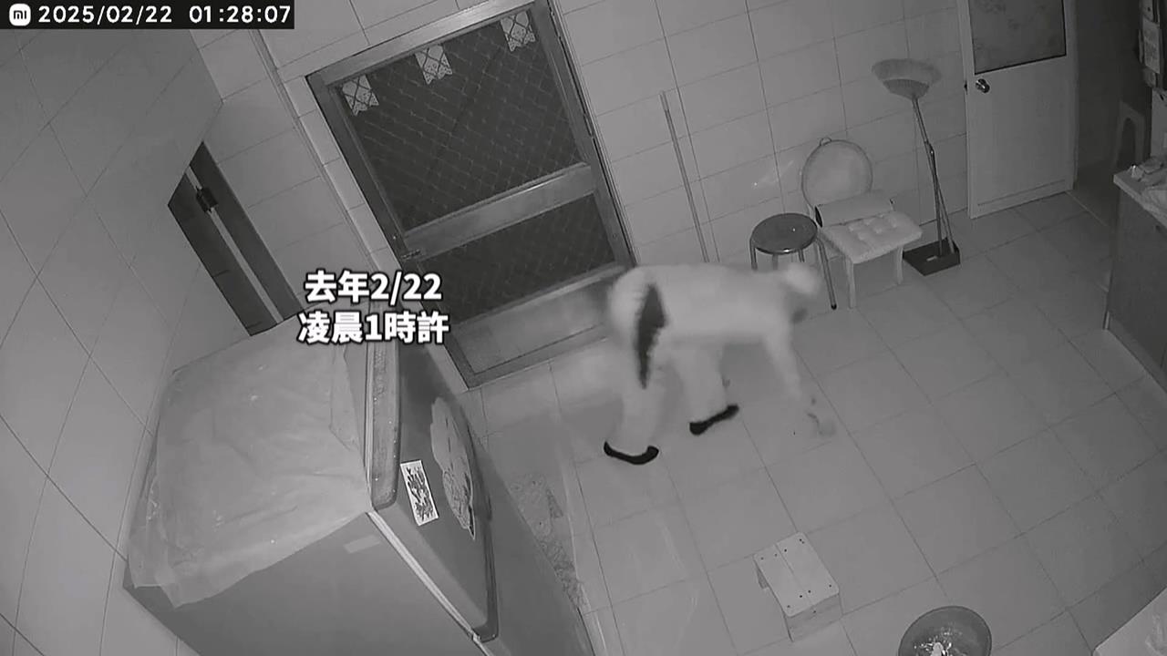 為躲監視器「學狗爬」闖屋仍露餡？　屏東賊5度行竊　屋主財損逾6萬